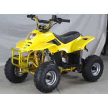 110CC ATV Quad com 6 polegadas roda com CE (ET-ATV047)